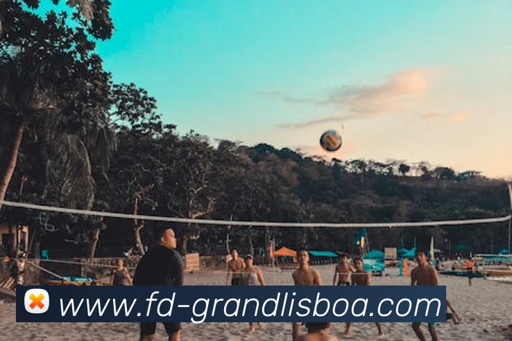 新葡京娱乐平台生态图